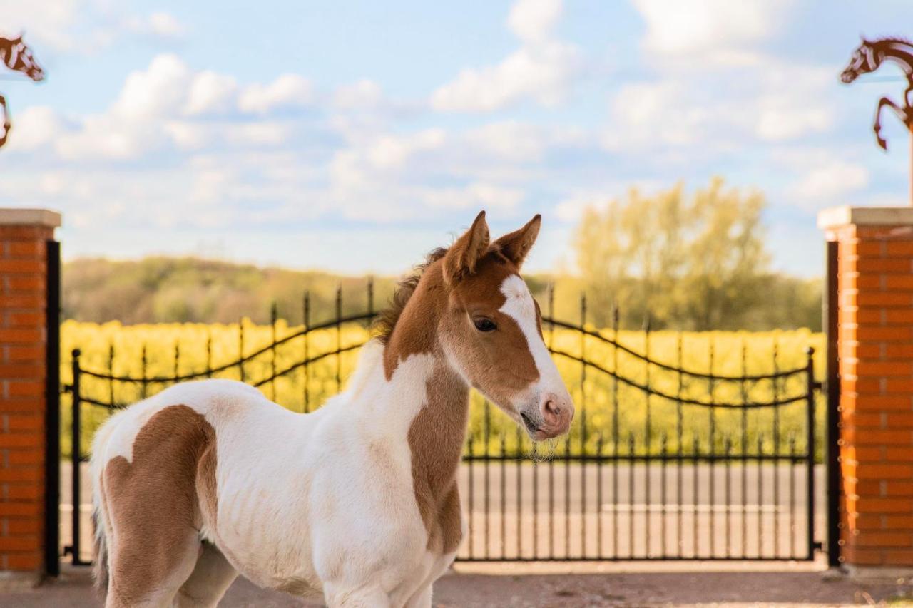 Dorisberg B&B - The Stables Loberod Екстер'єр фото