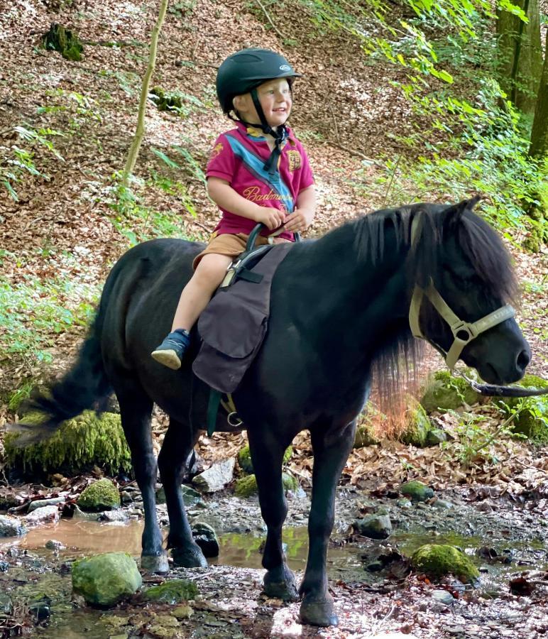 Dorisberg B&B - The Stables Loberod Екстер'єр фото